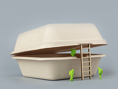 环保纸浆餐具如何制作